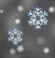 Light snow, Overcast Light snow, Overcast